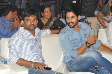 Sailaja Reddy Alludu Movie Pre Release Event Photos